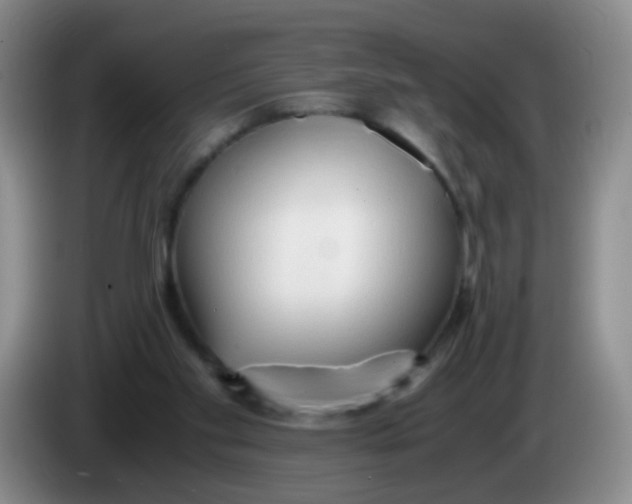 X0000083980109200703091832