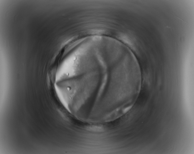 X0000083980110200703091832