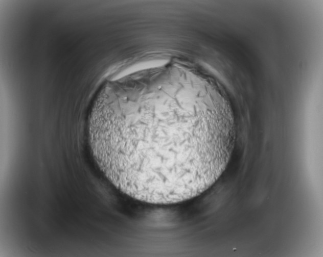 X0000083980111200703091832