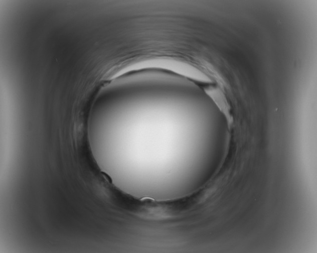 X0000083980113200703091832