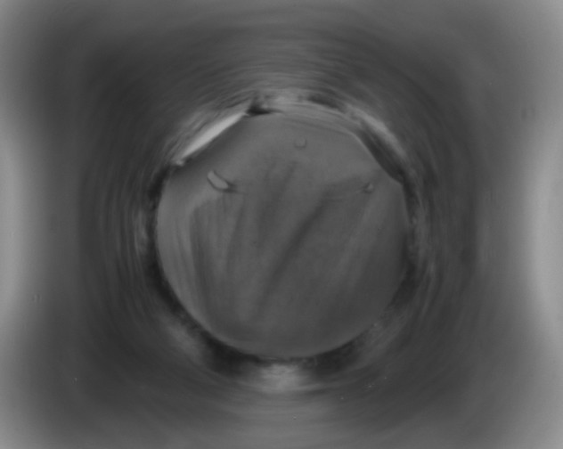 X0000083980114200703091832