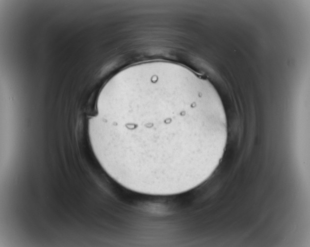 X0000083980120200703091832