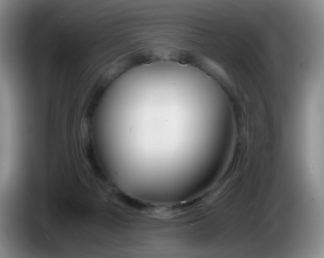 X0000083980121200703091832