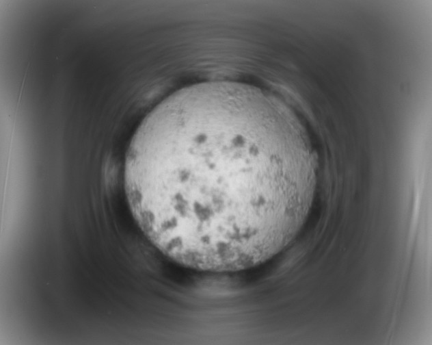 X0000083980123200703091832