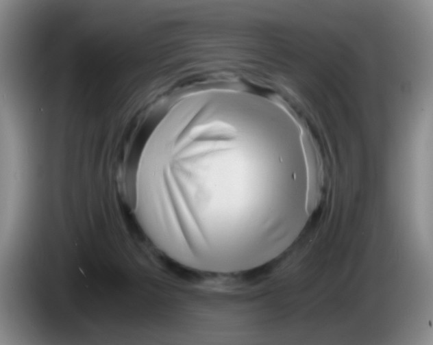 X0000083980125200703091832