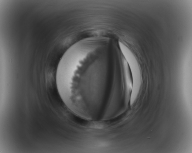 X0000083980127200703091832