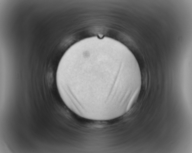 X0000083980128200703091832