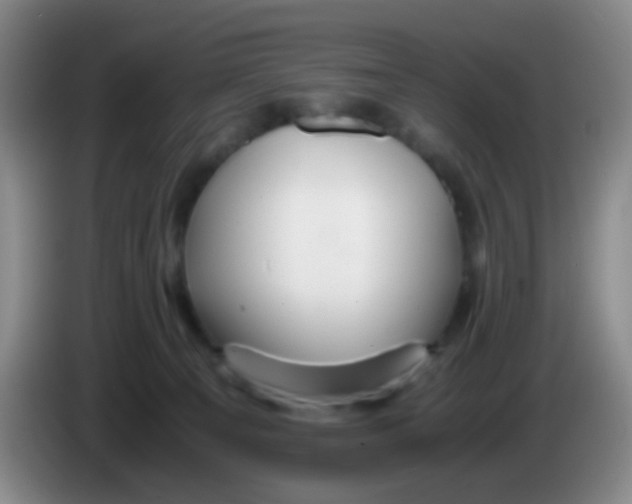 X0000083980129200703091832