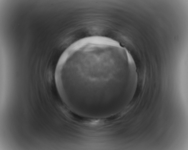 X0000083980130200703091832