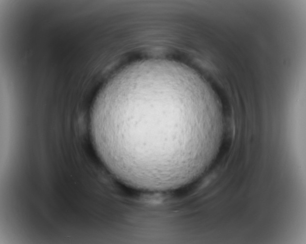 X0000083980131200703091832