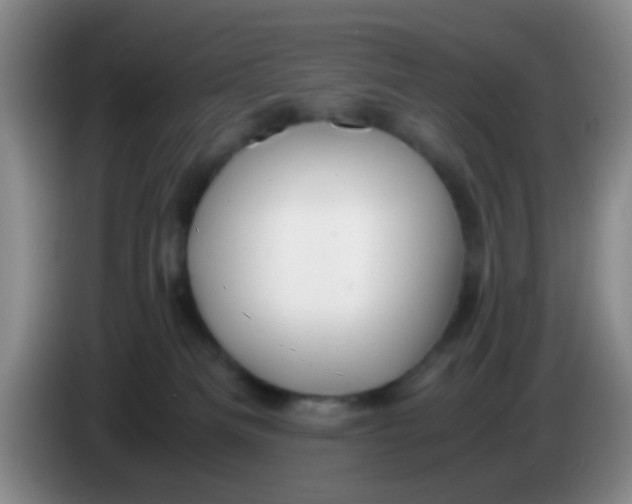 X0000083980133200703091832