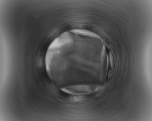 X0000083980134200703091832