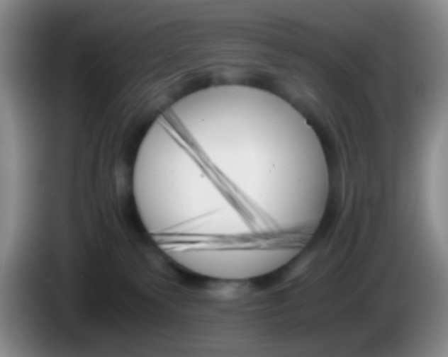 X0000083980135200703091832