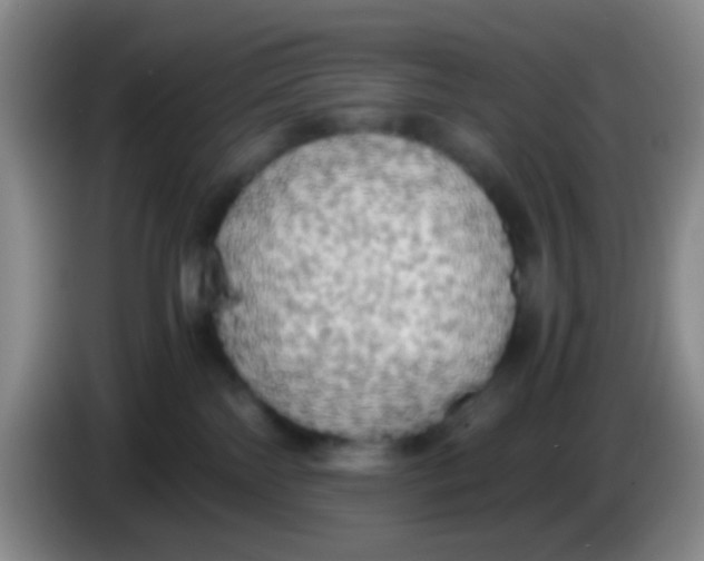 X0000083980138200703091832