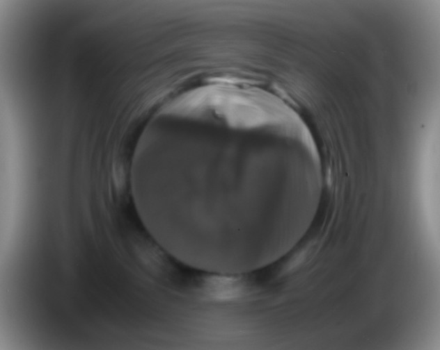 X0000083980139200703091832