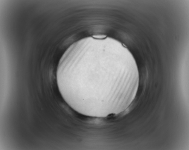 X0000083980140200703091832