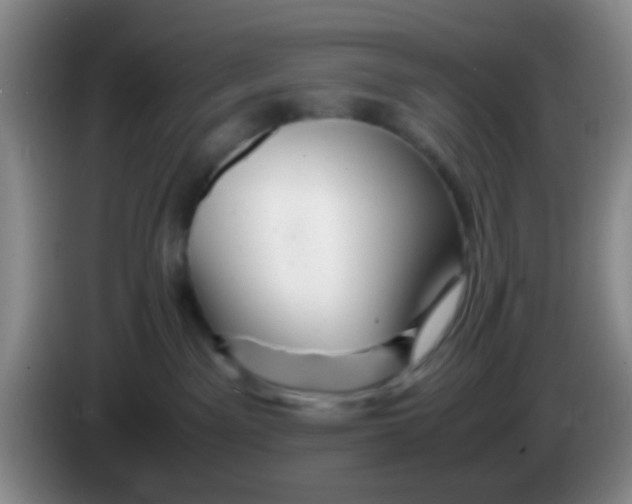 X0000083980141200703091832