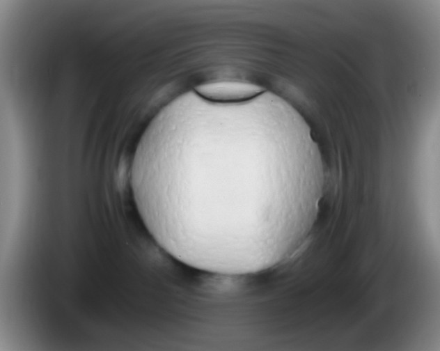 X0000083980142200703091832