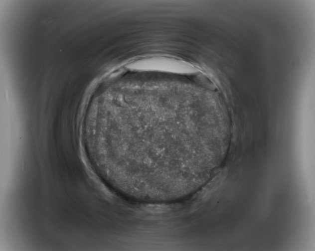 X0000083980145200703091831