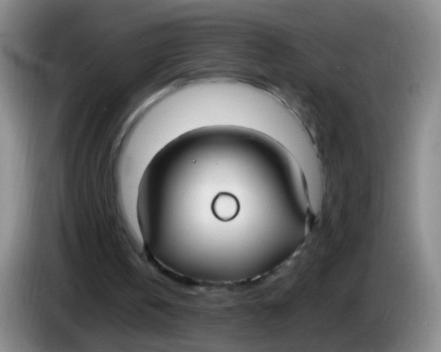 X0000083980146200703091831