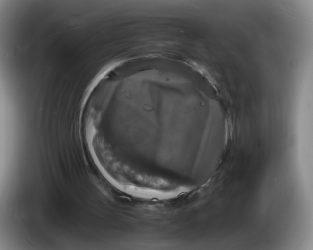 X0000083980147200703091831