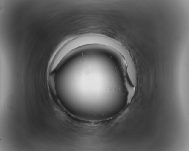 X0000083980148200703091831