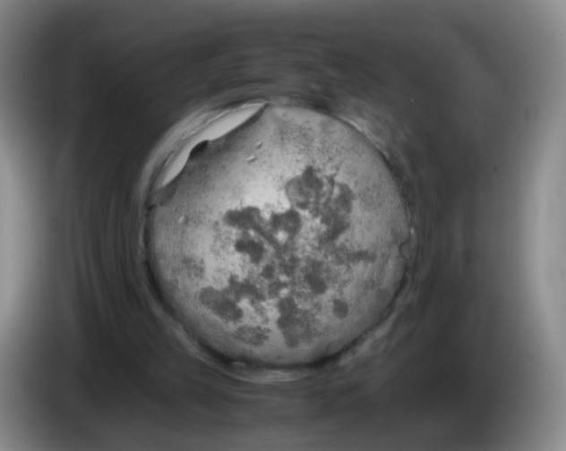 X0000083980149200703091831