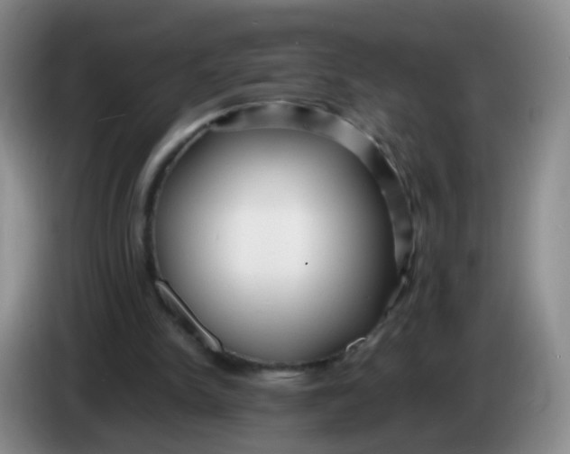 X0000083980150200703091831