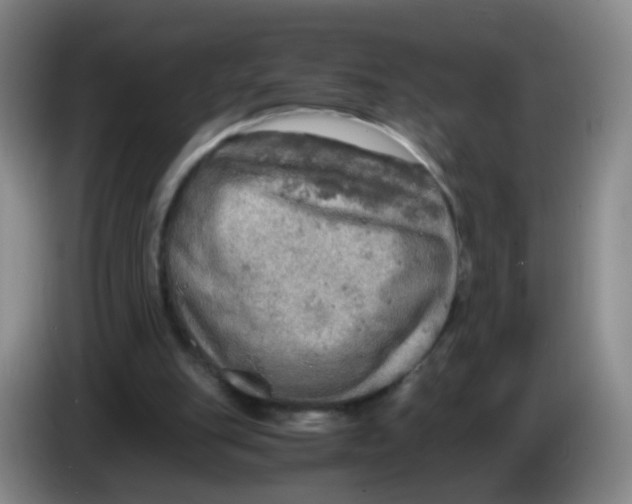 X0000083980151200703091831