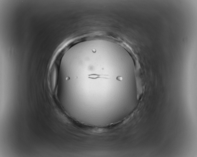 X0000083980152200703091831