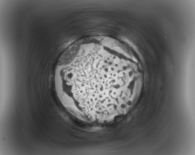 X0000083980153200703091831