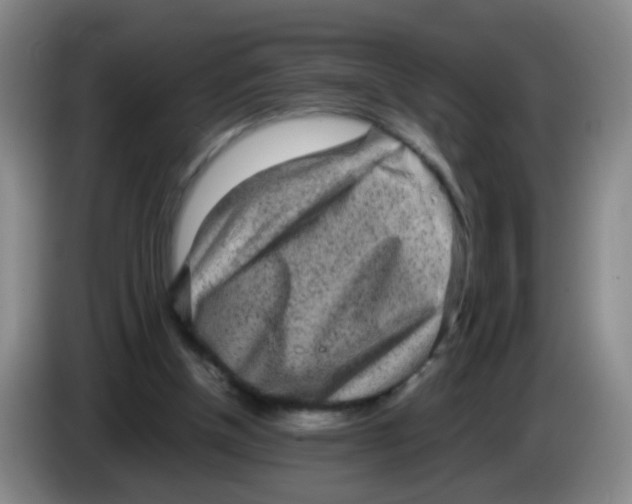 X0000083980154200703091831