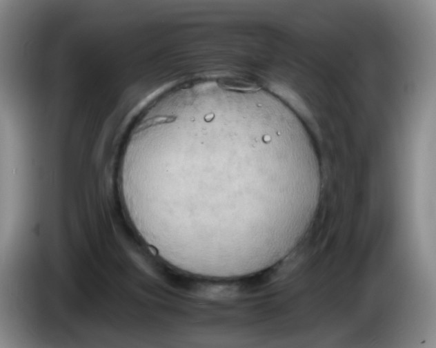 X0000083980155200703091831