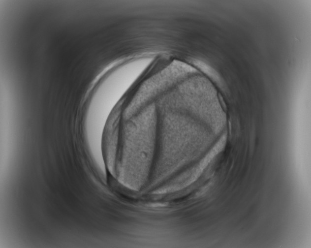 X0000083980156200703091831