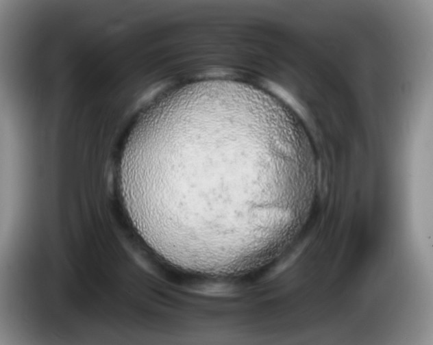 X0000083980157200703091831