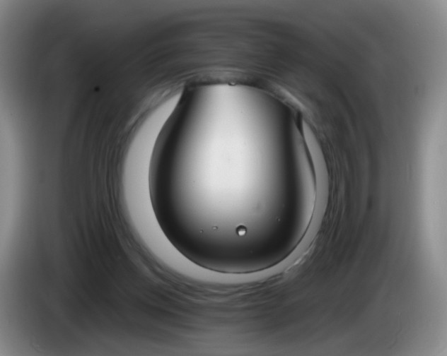 X0000083980158200703091831