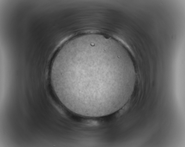 X0000083980159200703091831