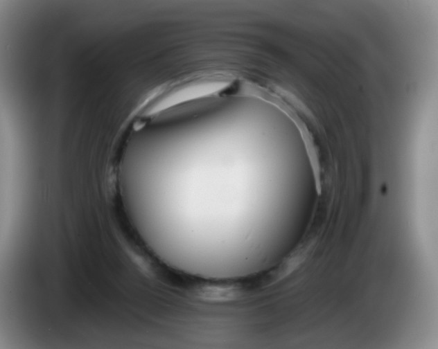 X0000083980160200703091831