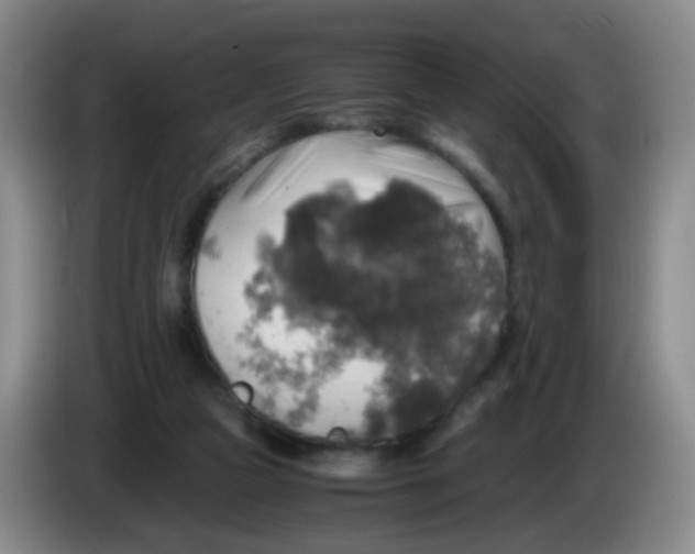 X0000083980161200703091831