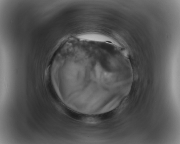 X0000083980163200703091831