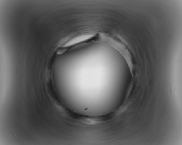 X0000083980164200703091831