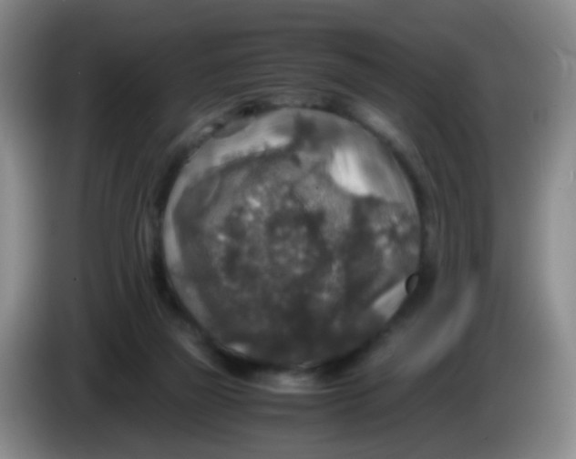 X0000083980165200703091831