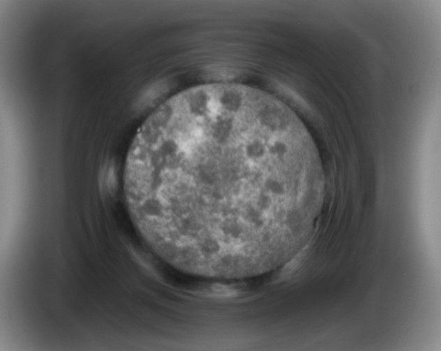 X0000083980166200703091831