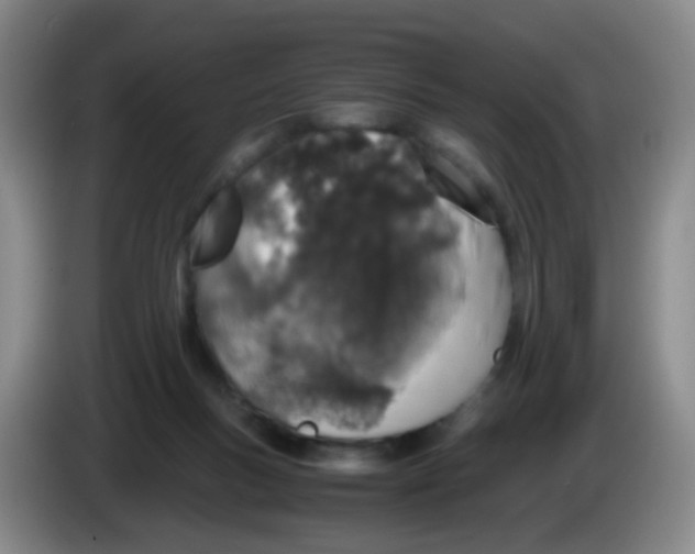 X0000083980167200703091831