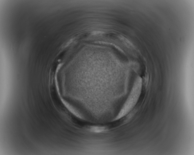 X0000083980168200703091831