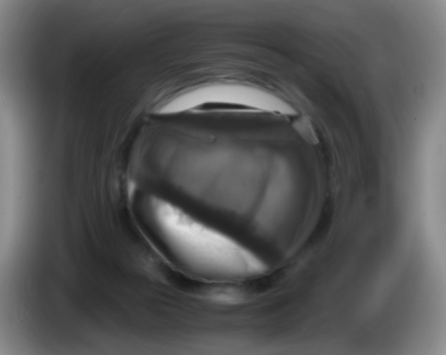 X0000083980169200703091831