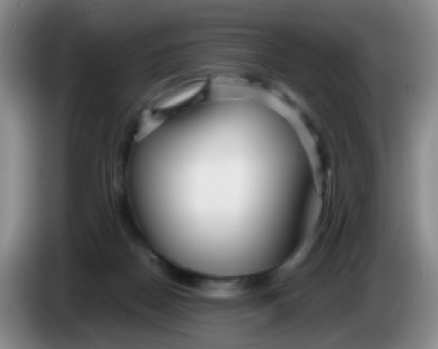 X0000083980170200703091831