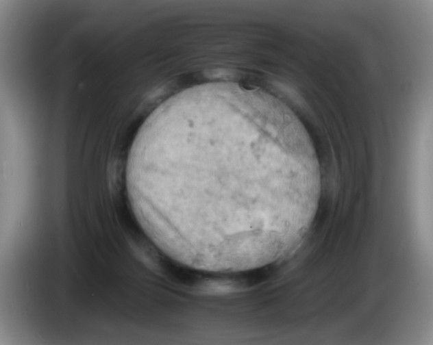 X0000083980171200703091831