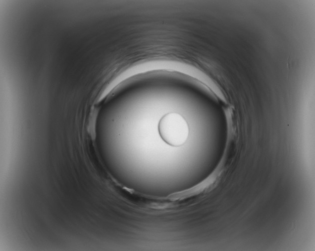 X0000083980172200703091831