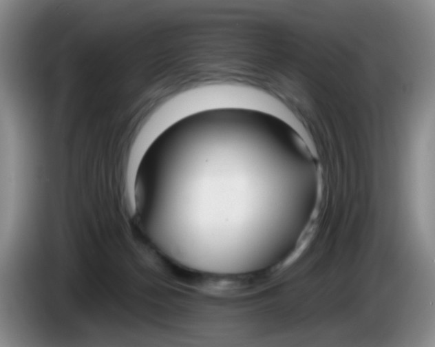 X0000083980174200703091831